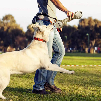 Pet Dog Toys for Large and Small Dogs