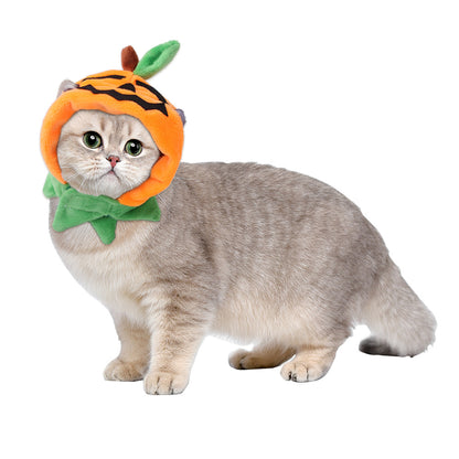 Curly Hair Pet Hat Cat Funny Dress Up Pet Products