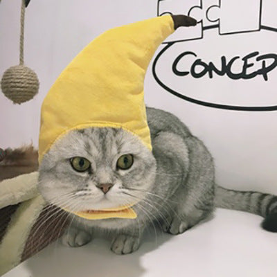 Curly Hair Pet Hat Cat Funny Dress Up Pet Products