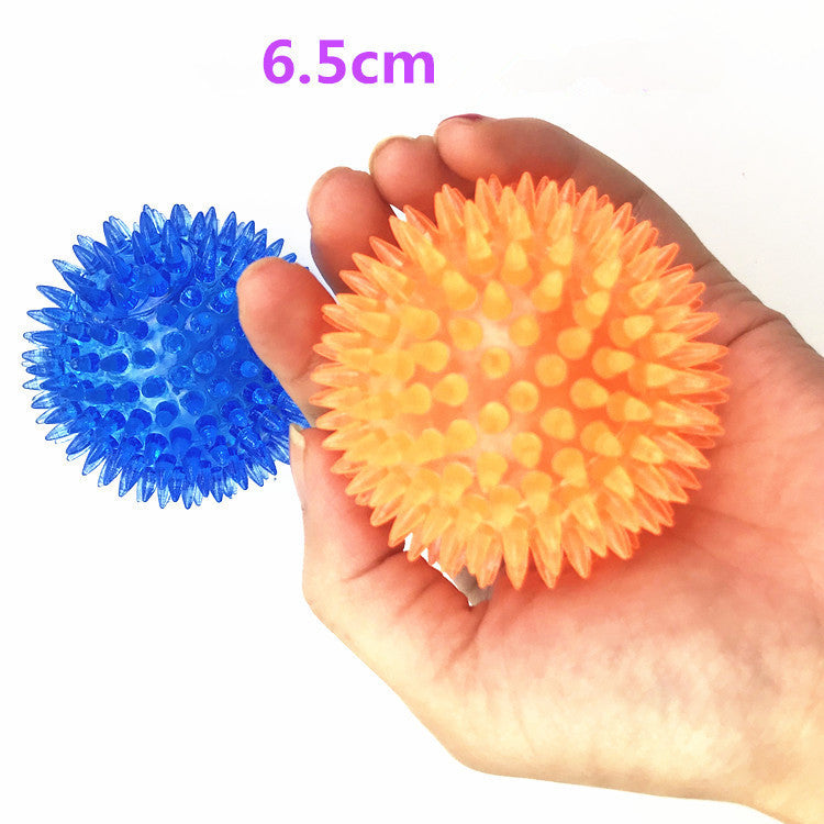 Large Dog Vocal Toy Ball Stab Massage Ball Bouncy Ball