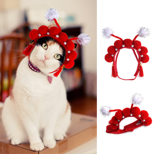 Curly Hair Pet Hat Cat Funny Dress Up Pet Products