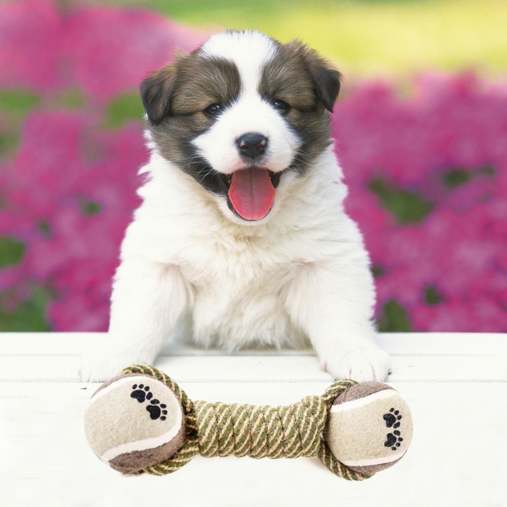 Pet Dog Toys for Large and Small Dogs