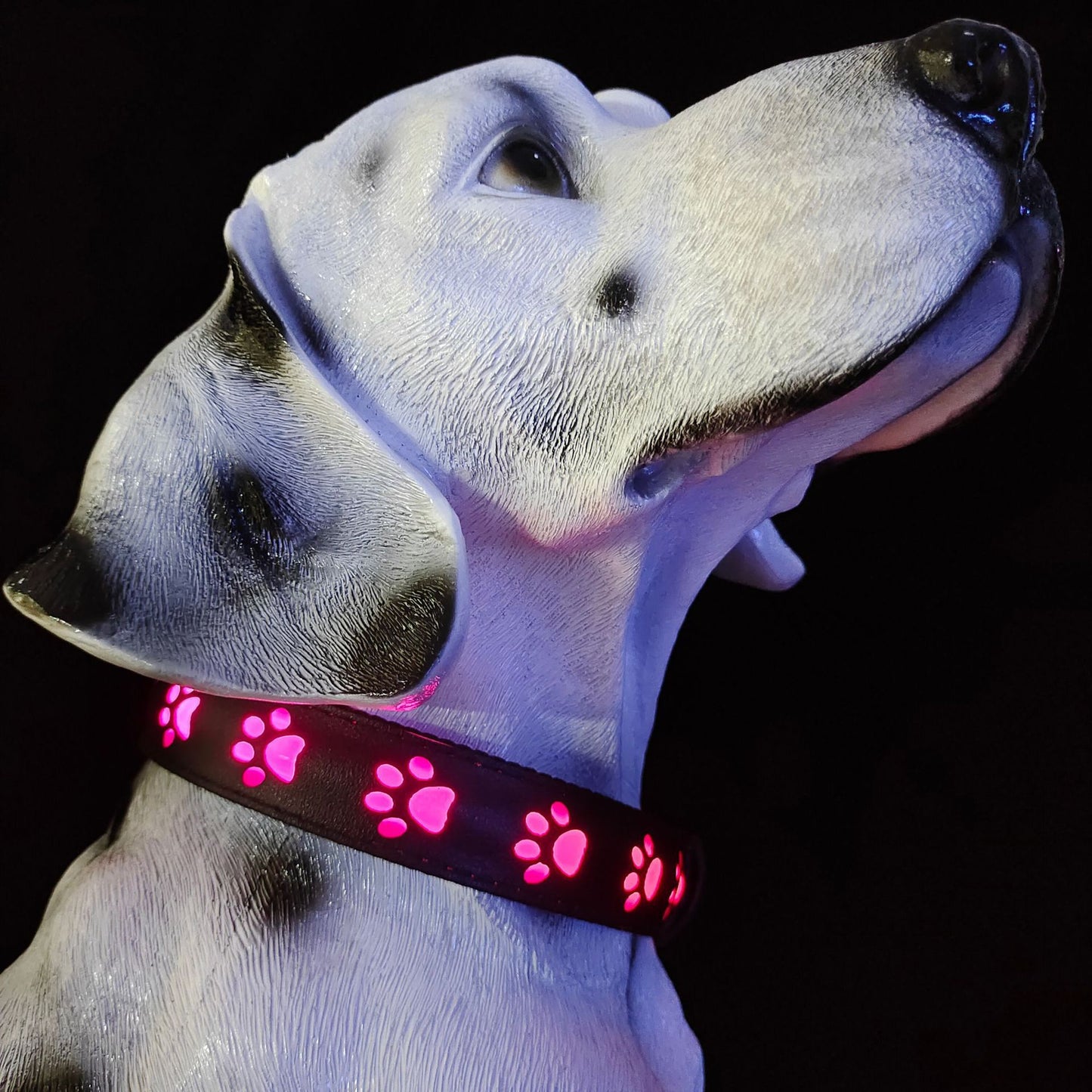 7 Colors in One LED Luminous Collar USB Charging