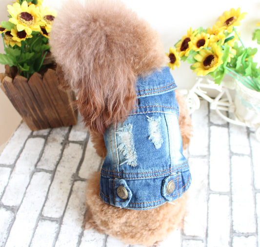 Pet Clothes Ripped Denim Vest Spring And Summer Clothes