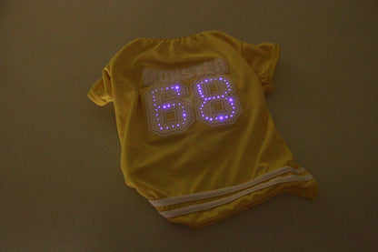 LED glowing pet clothes