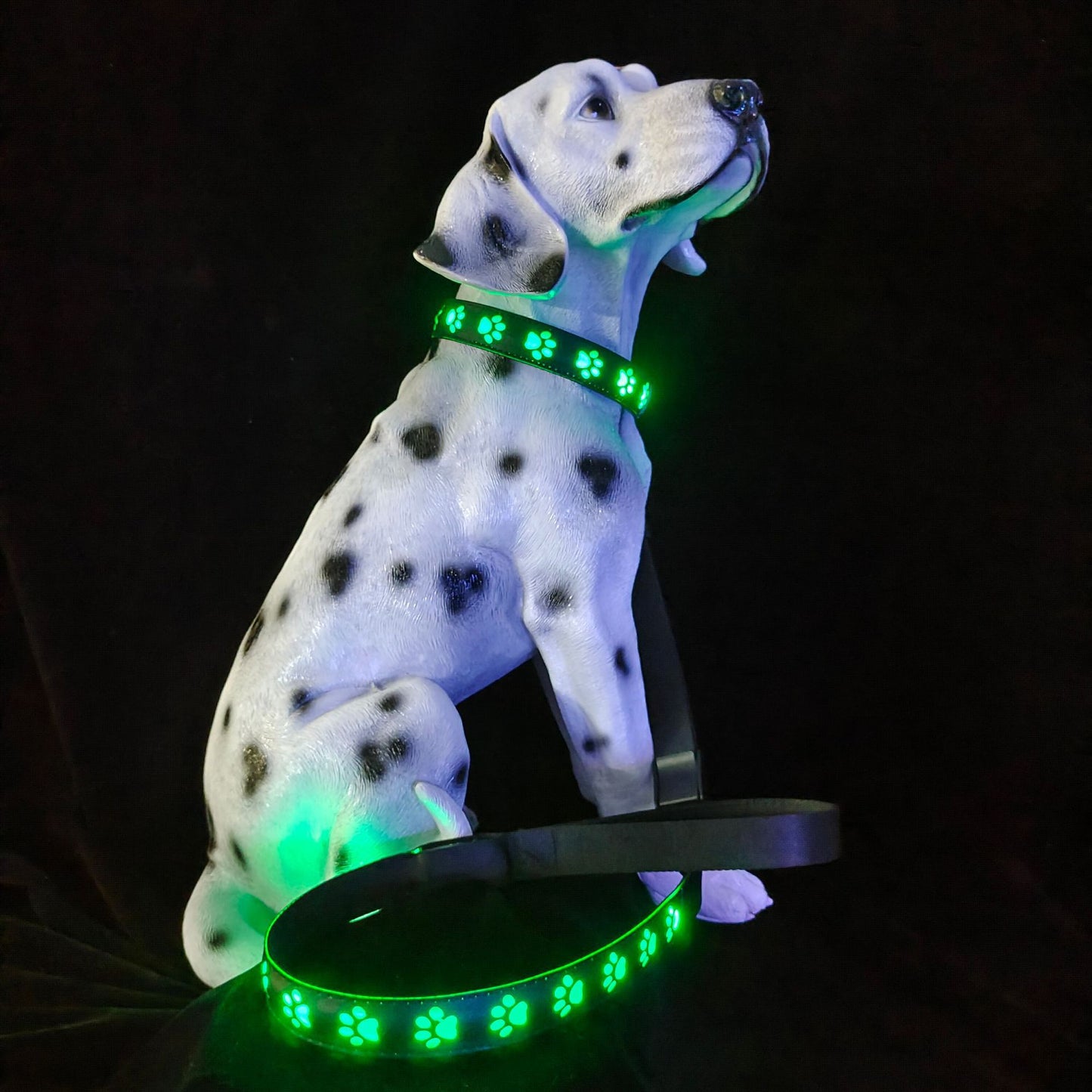 7 Colors in One LED Luminous Collar USB Charging