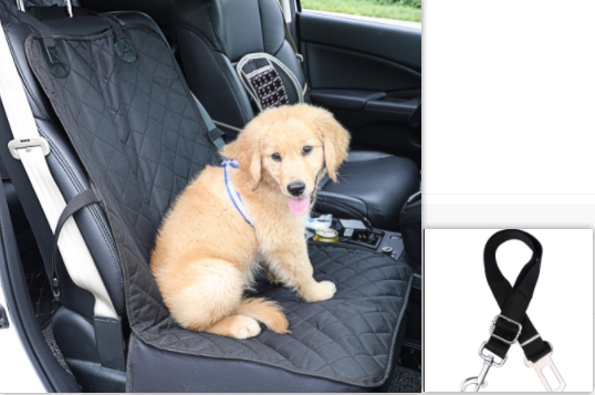 Car pet pad