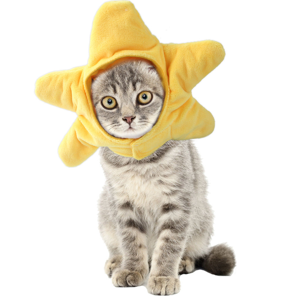 Curly Hair Pet Hat Cat Funny Dress Up Pet Products