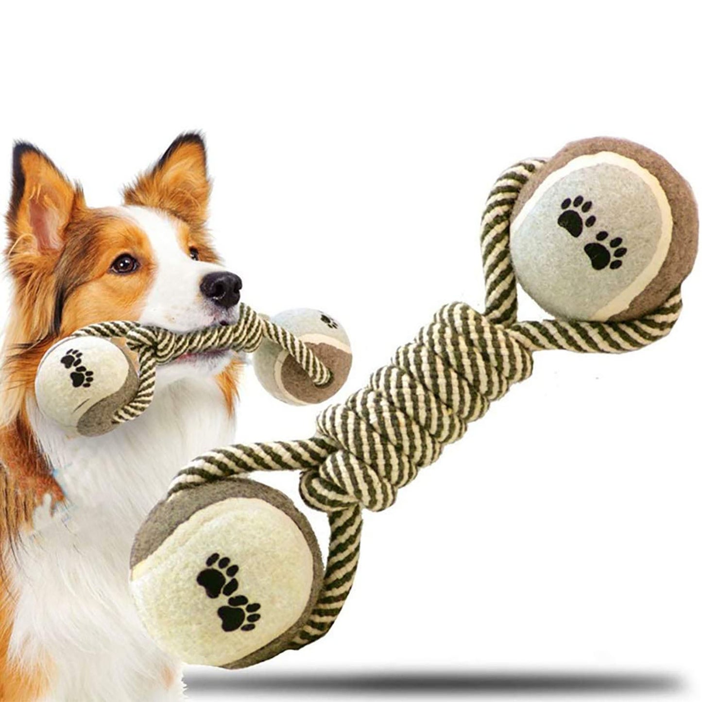 Pet Dog Toys for Large and Small Dogs