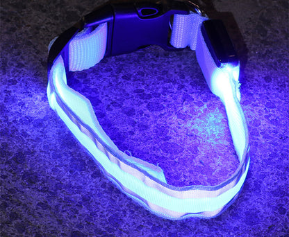 Anti-lost Led Luminous Dog Collar