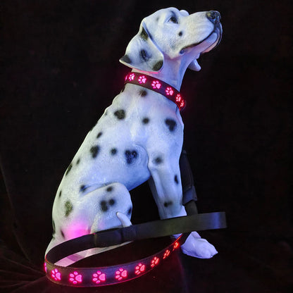 7 Colors in One LED Luminous Collar USB Charging