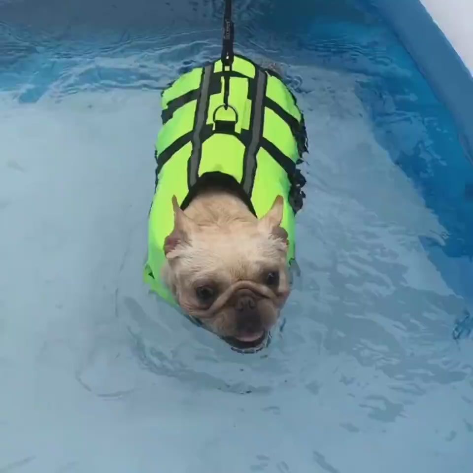 New Air Bag Life Jackets For Pet Supplies Inflatab